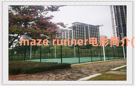 maze runner电影简介(maze running)